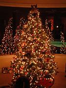 Christmas in FL and TX